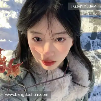 曹泽莎